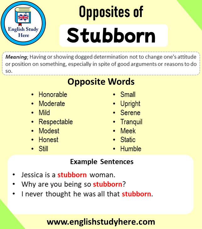 Opposite of Stubborn, Antonym of Stubborn, 21 Opposite Words For